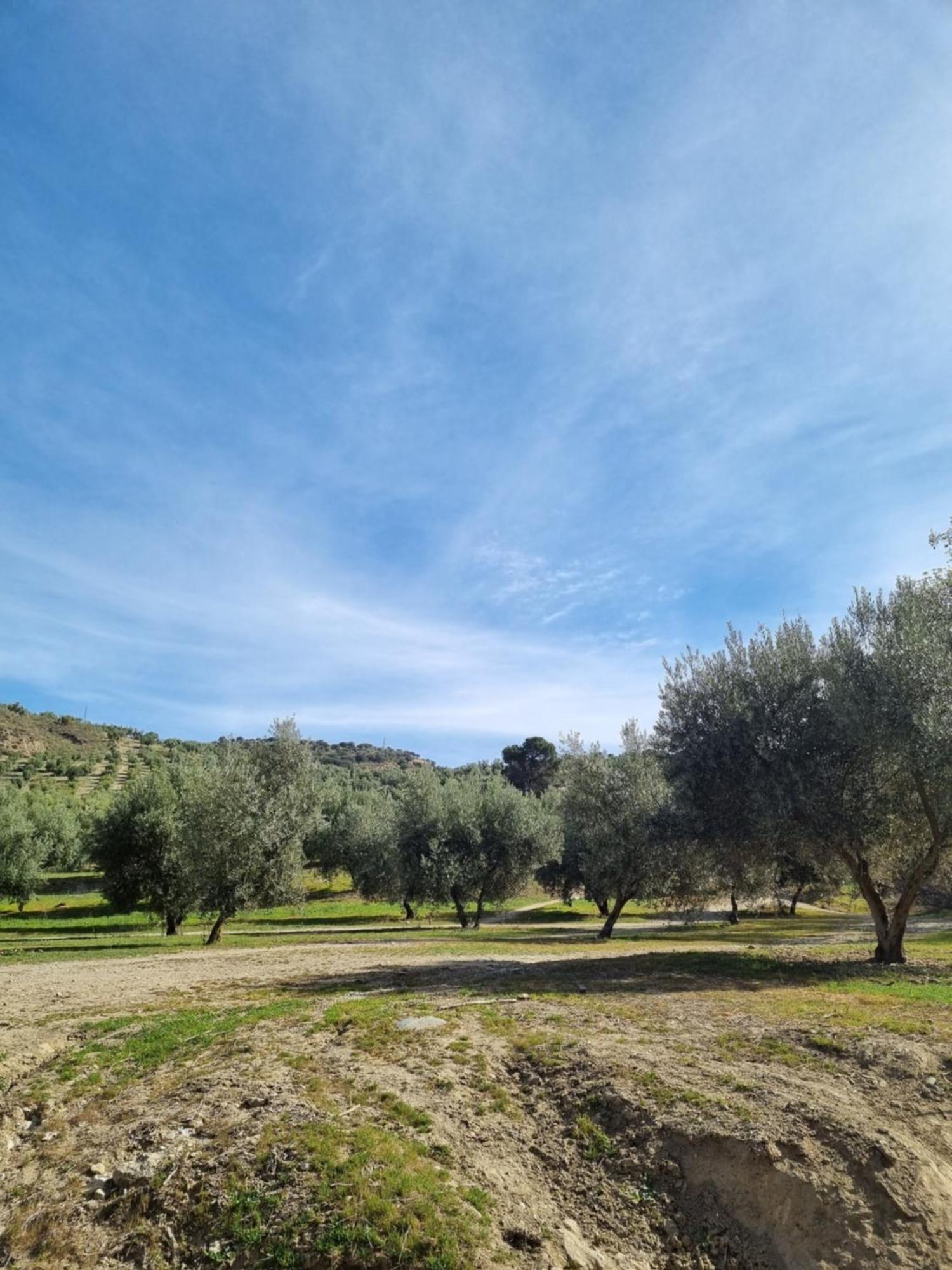 La Colina Ladyblue Apto Acogedor Cerca De Sierra Nevada Y Alhambra Leilighet Cenes De La Vega Eksteriør bilde