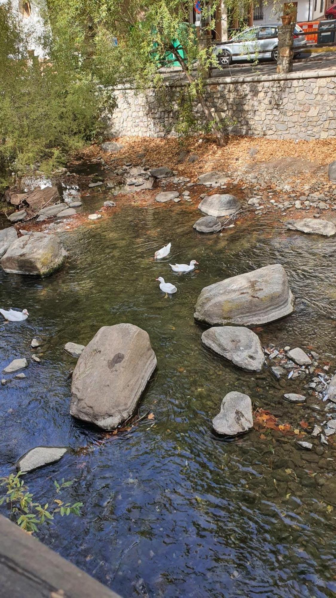 La Colina Ladyblue Apto Acogedor Cerca De Sierra Nevada Y Alhambra Leilighet Cenes De La Vega Eksteriør bilde